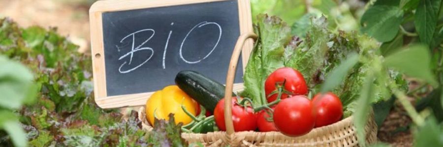 Covid, voglia di salute e sicurezza dei consumatori: +7% gli acquisti dei prodotti bio