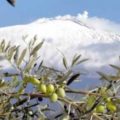 Dop Monte Etna
