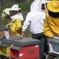 api corso primo livello