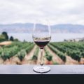 consorzio tutela vini Doc Sicilia