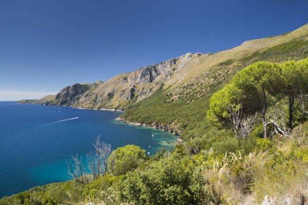 vacanze verdi