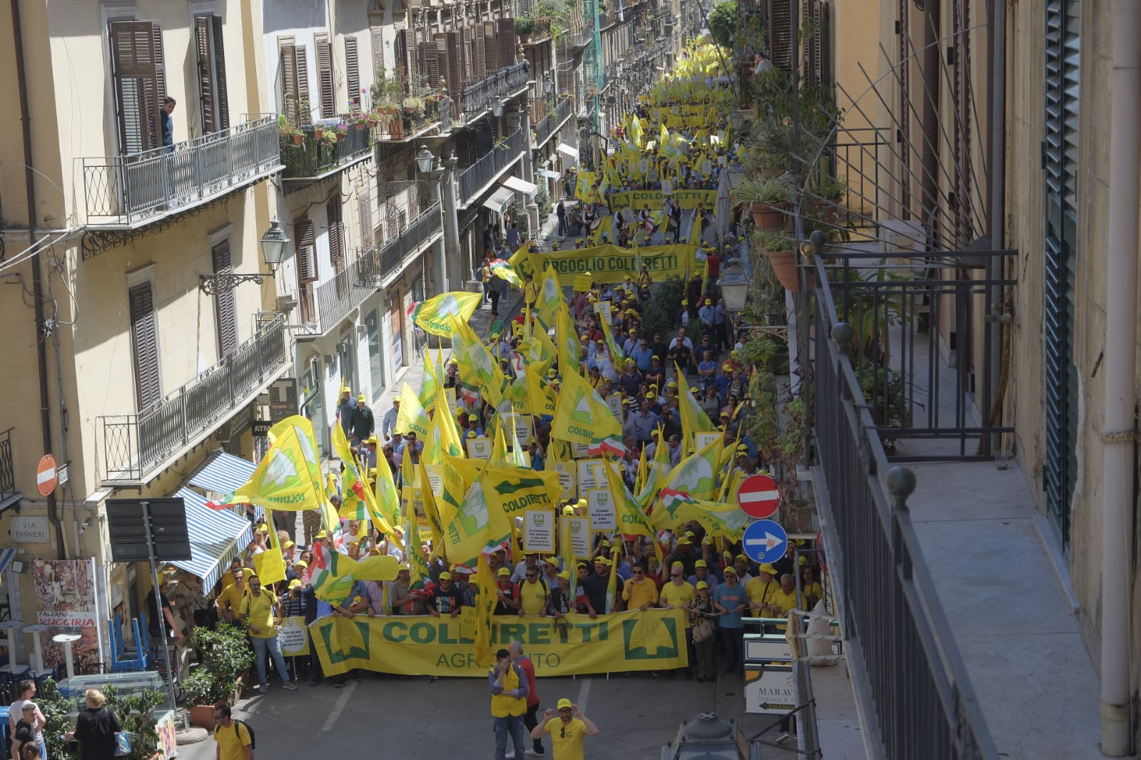 Siccità, continuano le proteste di Coldiretti Sicilia: “Gli animali muoiono tra l’indifferenza dei politici”