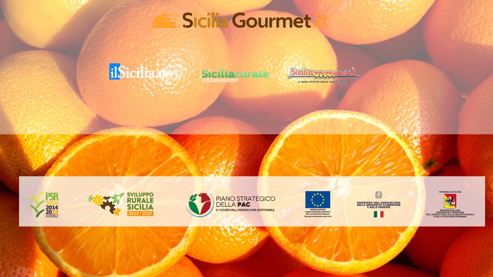 Agrigento, sapori d’eccellenza: dalla terra alla tavola con Sicilia Gourmet CLICCA PER IL VIDEO