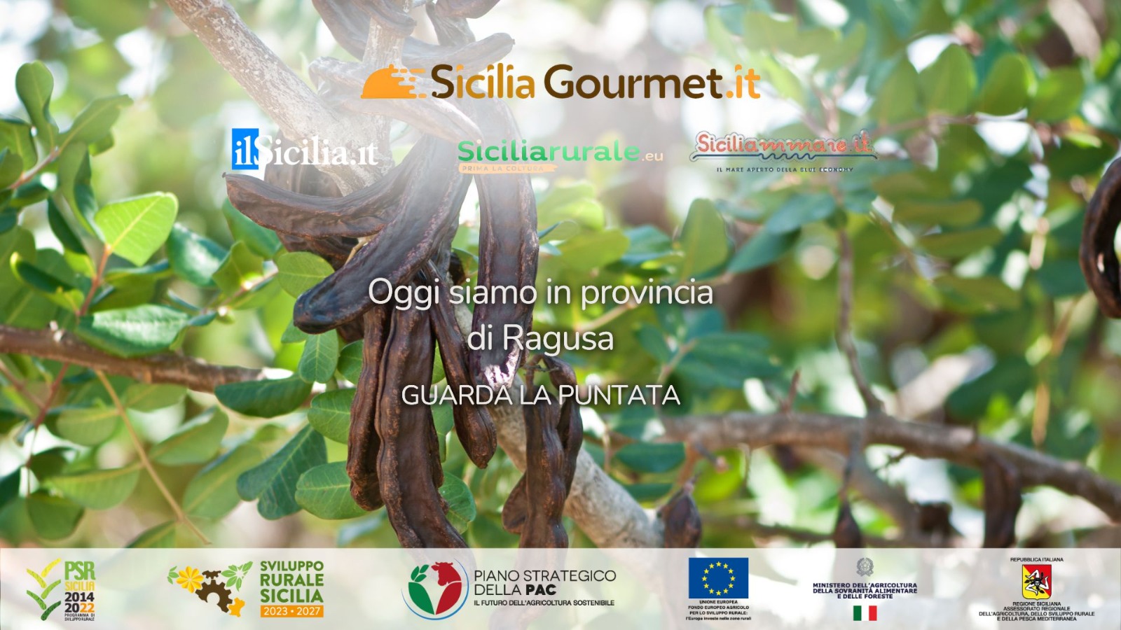 Ragusa a tavola, Sicilia Gourmet tra carrube, carote e formaggi Dop CLICCA PER IL VIDEO
