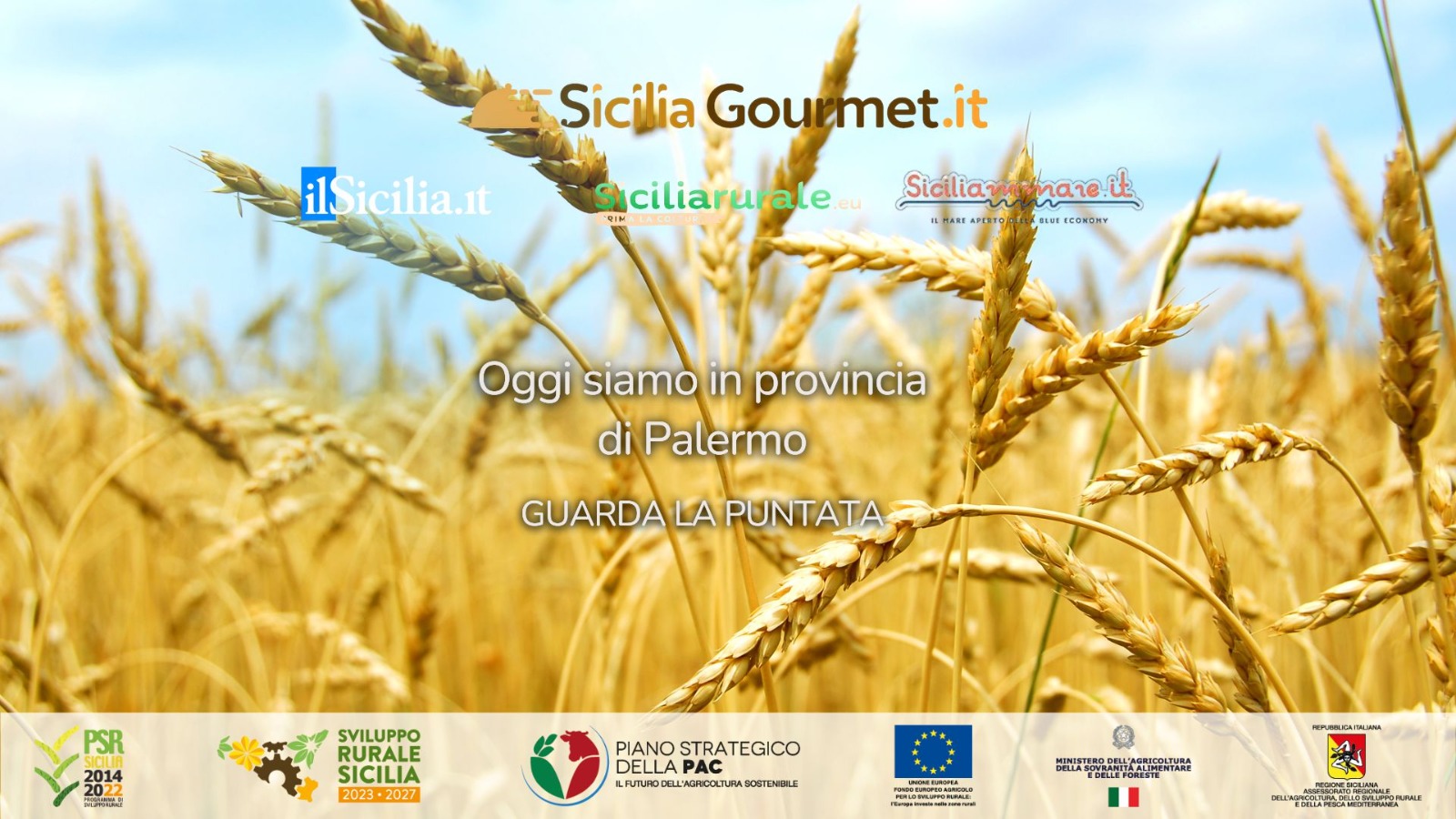 Grano, vino e mandorle a Sicilia Gourmet: la provincia di Palermo racconta la sua anima rurale CLICCA PER IL VIDEO