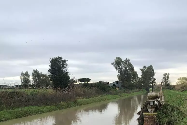 Alleanza tra ricerca, agricoltura e acqua: il ‘metodo’ per affrontare le sfide